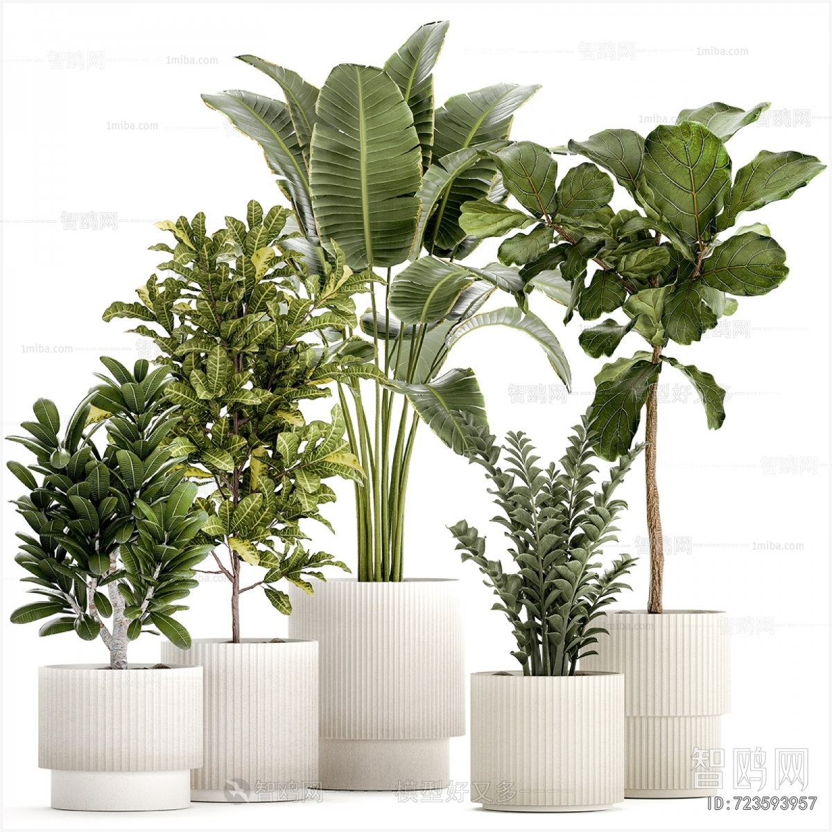 Modern Ground Green Plant Potted Plants