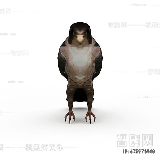 Modern Flying Animals