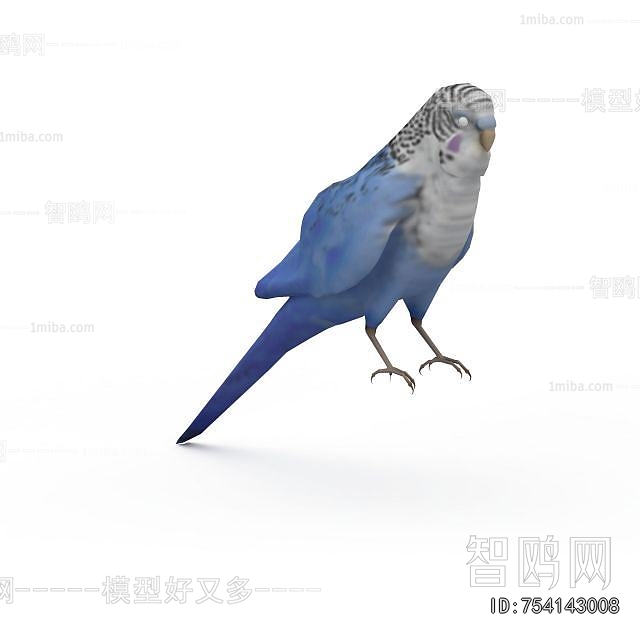 Modern Flying Animals