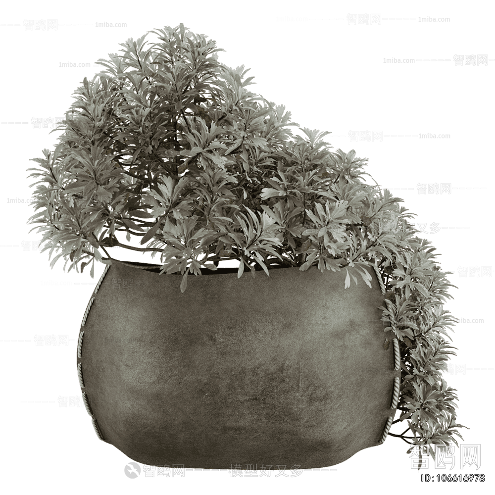 Wabi-sabi Style Potted Green Plant