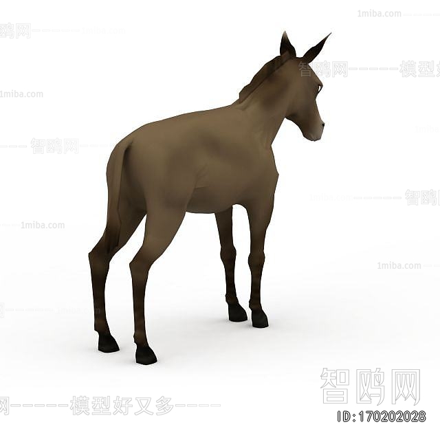 Modern Other Animals