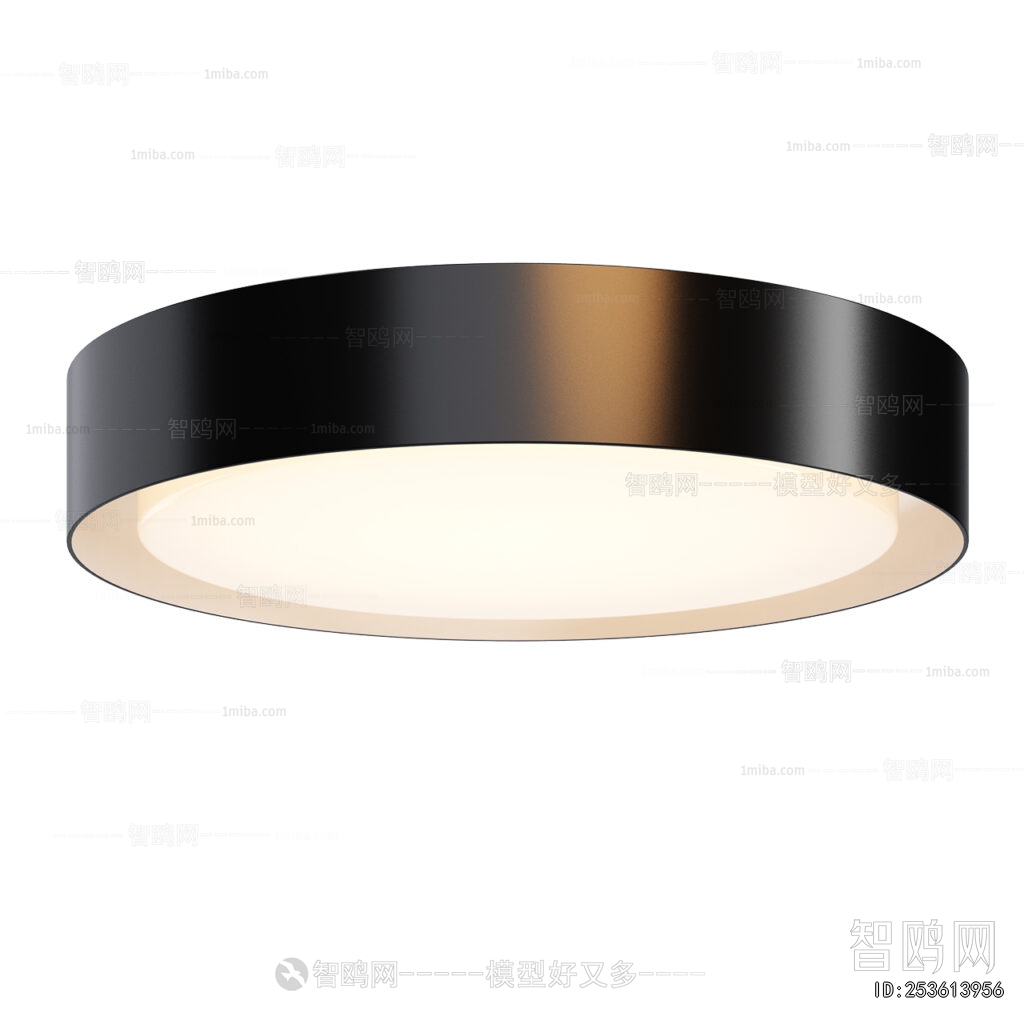 Modern Ceiling Ceiling Lamp