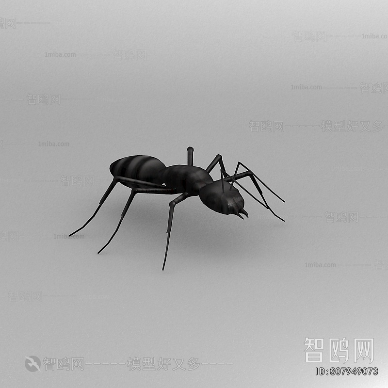 Modern Other Animals