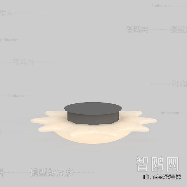 Modern Ceiling Ceiling Lamp