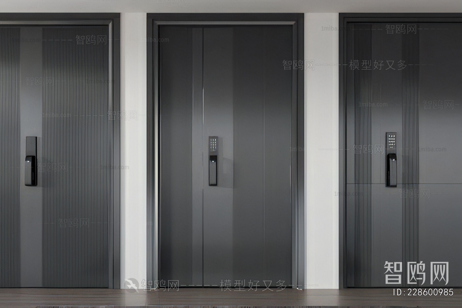 Modern Entrance Door