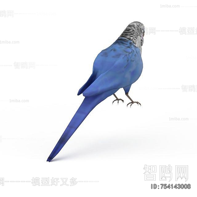 Modern Flying Animals