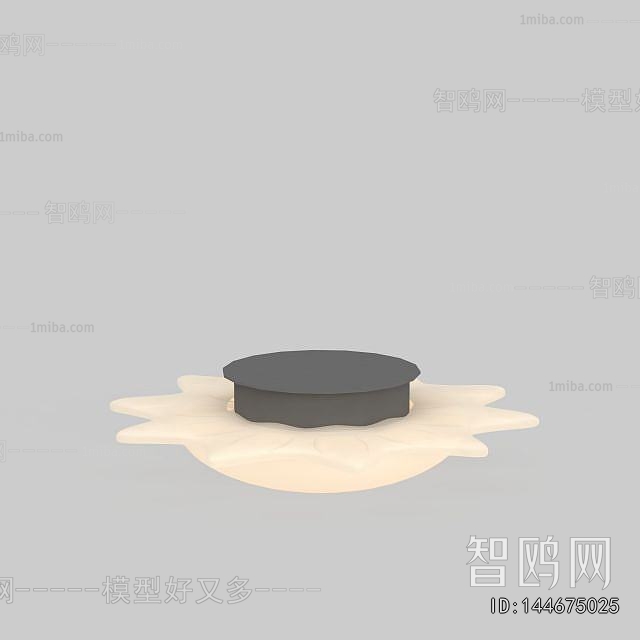 Modern Ceiling Ceiling Lamp