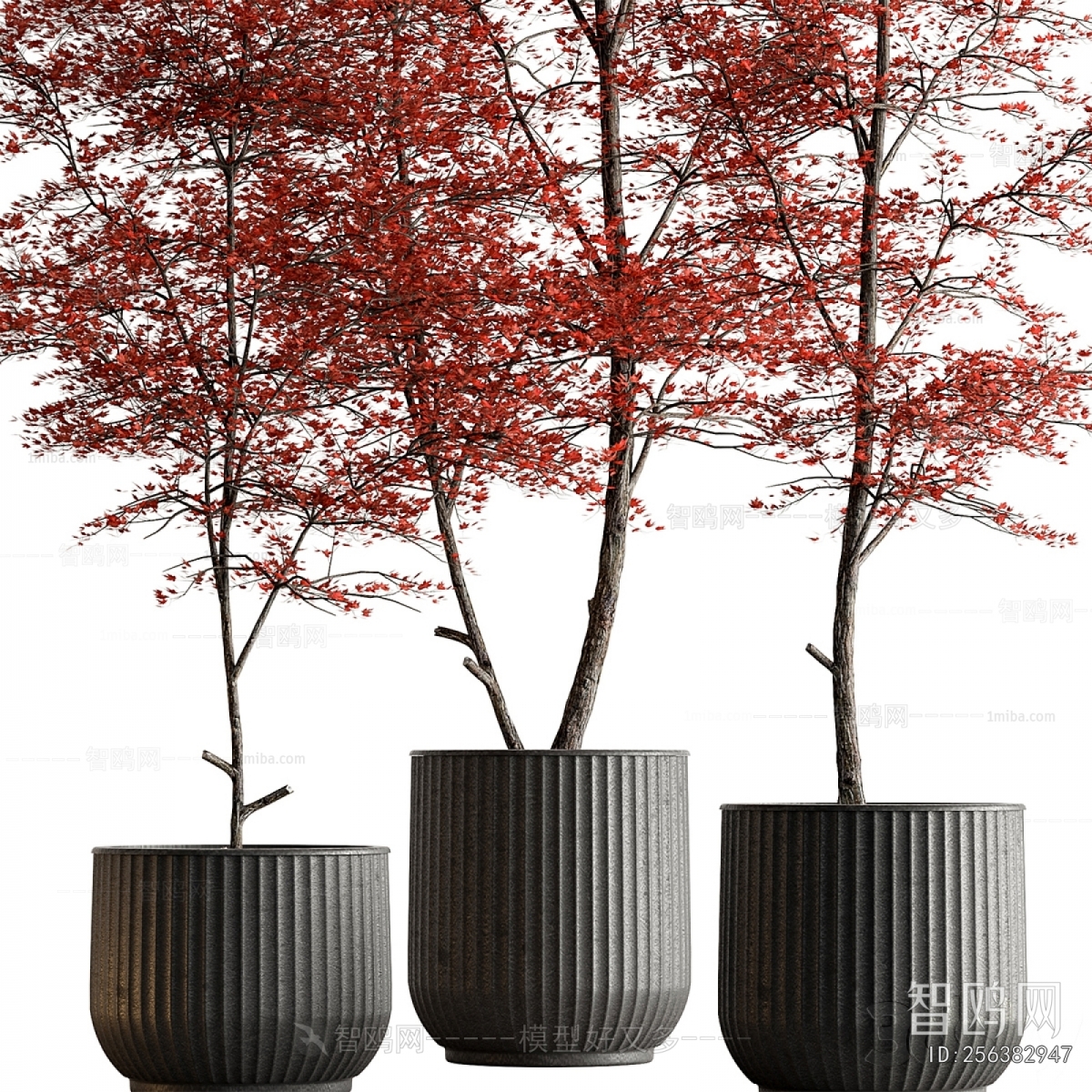 Modern Ground Green Plant Potted Plants