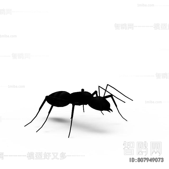 Modern Other Animals