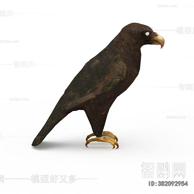 Modern Flying Animals