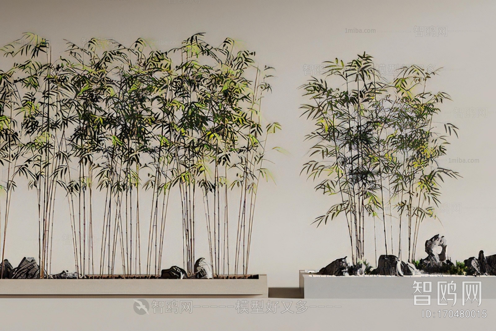 Modern Plant Landscaping