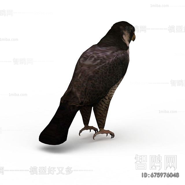 Modern Flying Animals