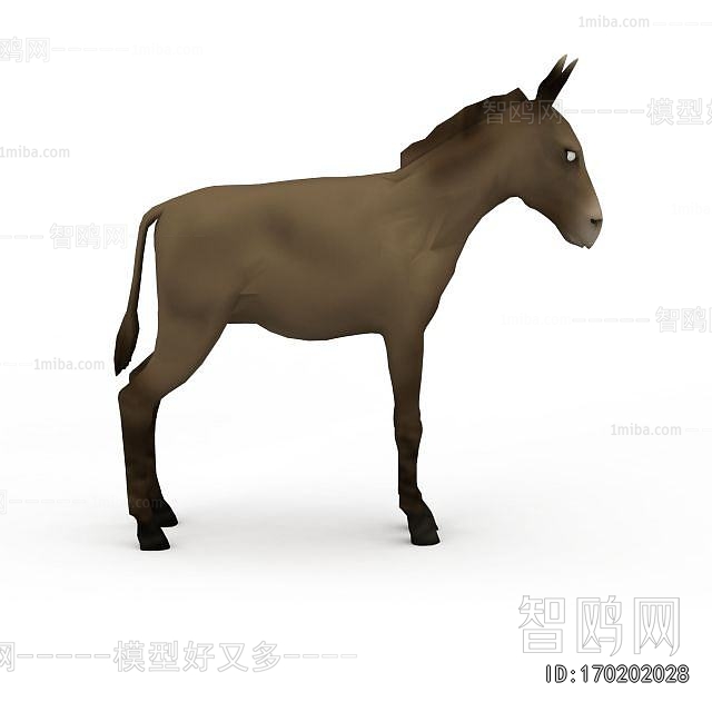 Modern Other Animals