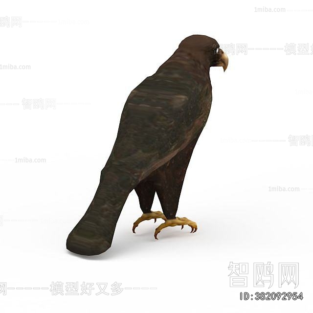 Modern Flying Animals