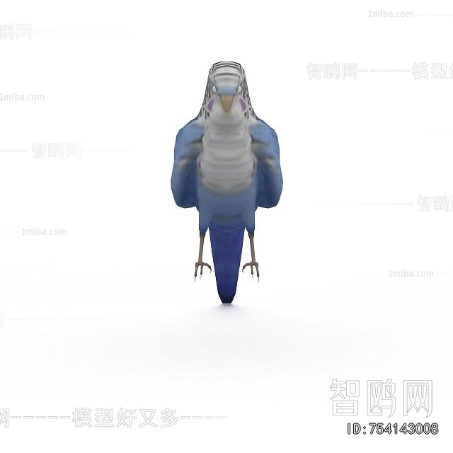 Modern Flying Animals