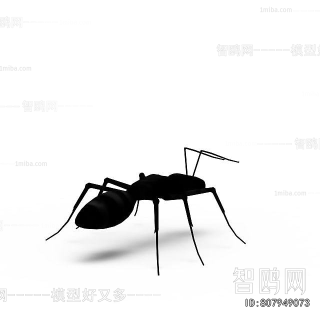 Modern Other Animals