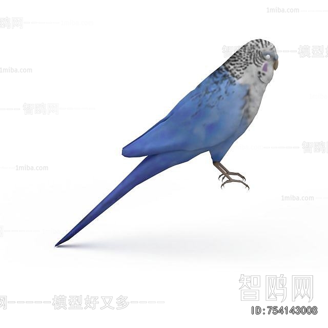 Modern Flying Animals