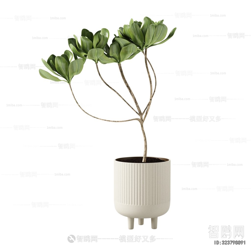 Modern Ground Green Plant Potted Plants