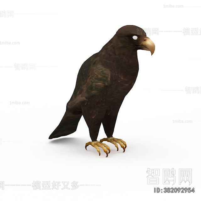 Modern Flying Animals