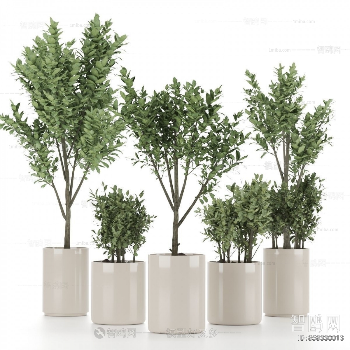 Modern Ground Green Plant Potted Plants