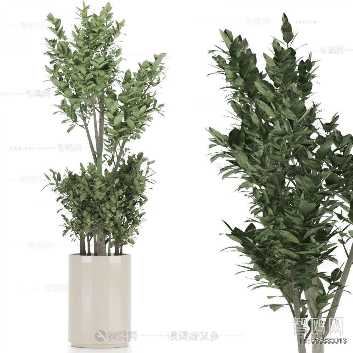 Modern Ground Green Plant Potted Plants
