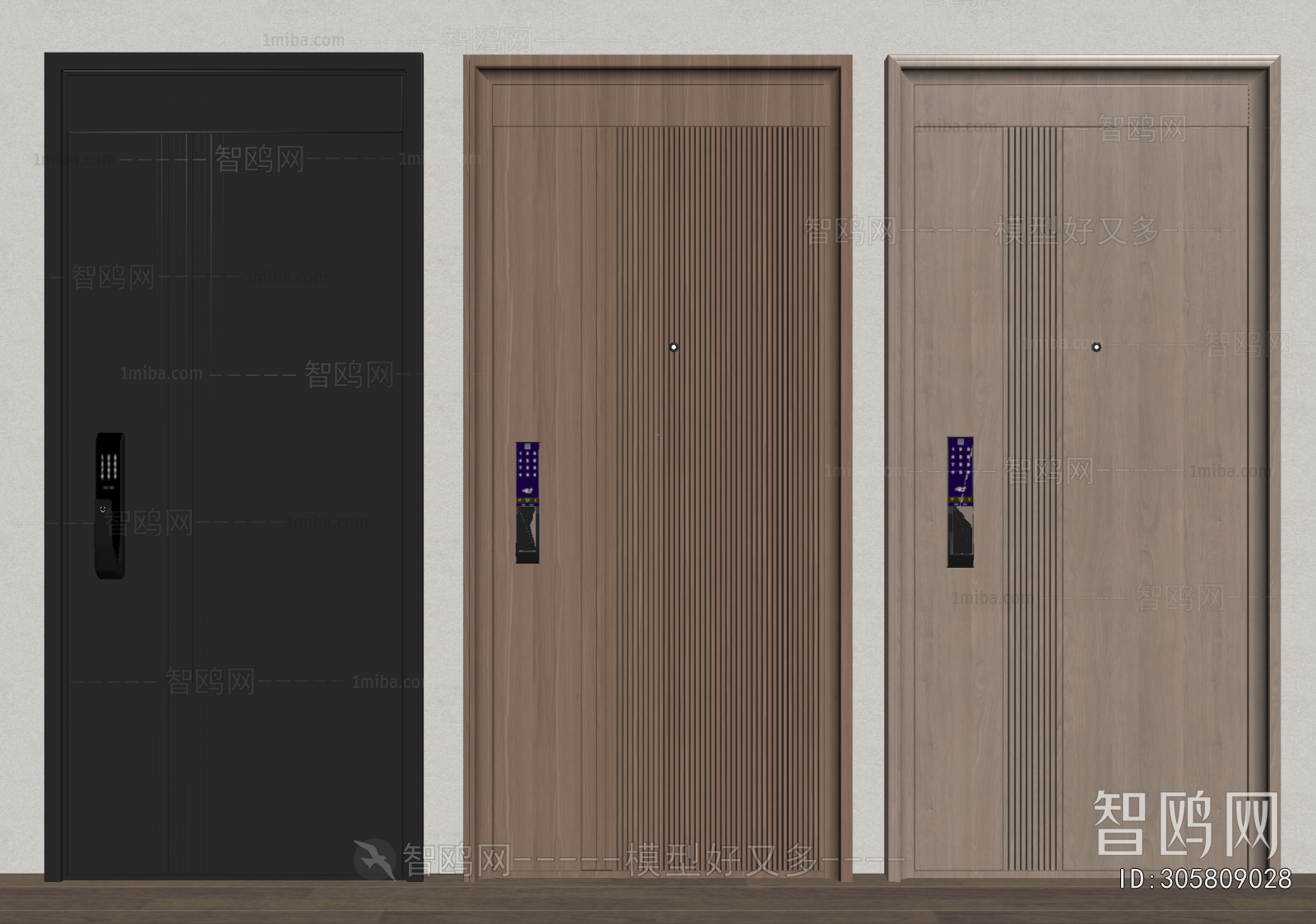 Modern Entrance Door