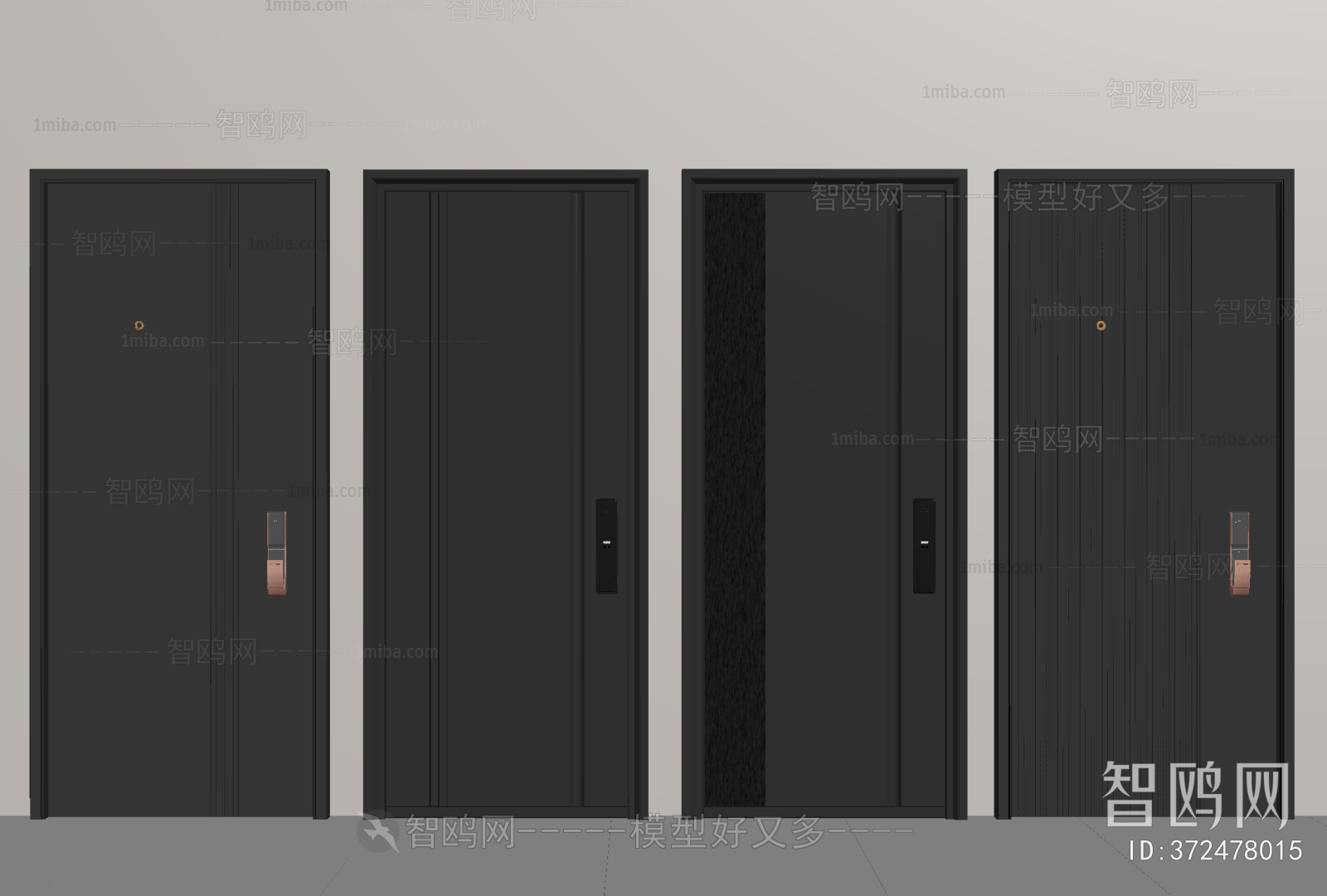 Modern Entrance Door