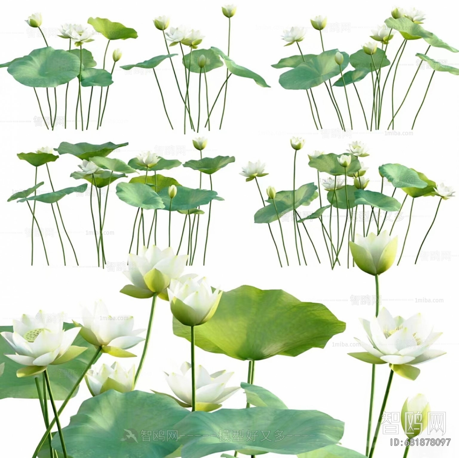 Modern Flowers And Grass