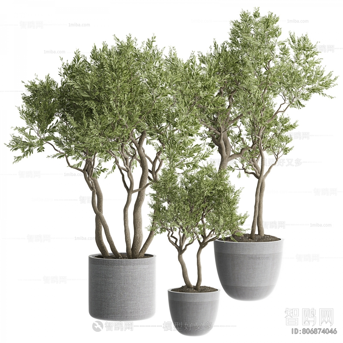 Modern Ground Green Plant Potted Plants