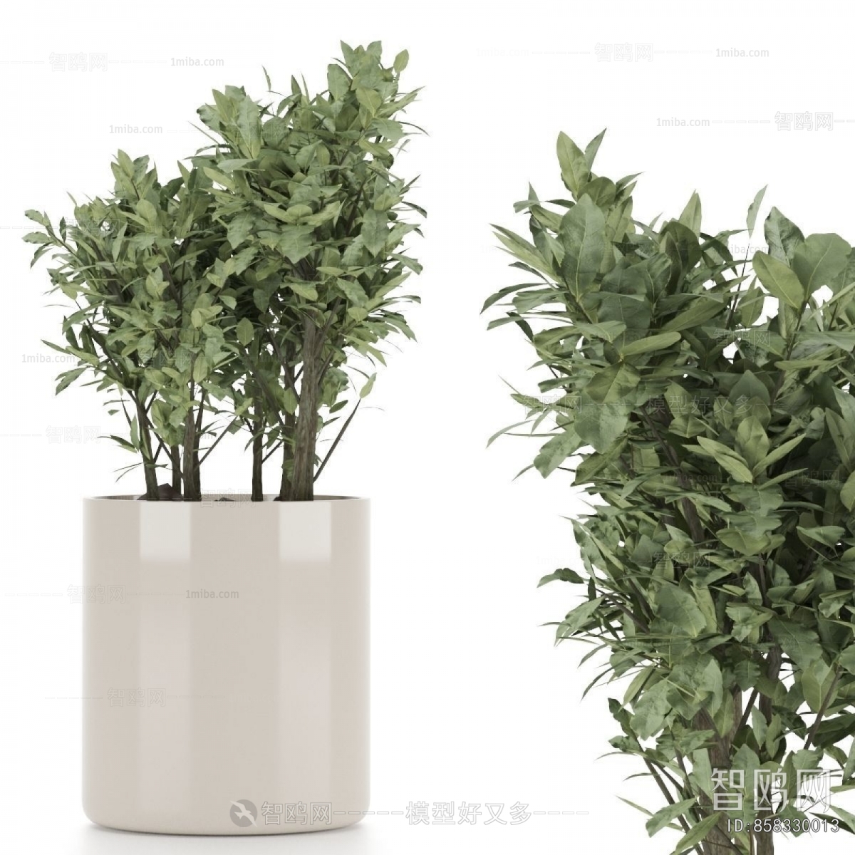 Modern Ground Green Plant Potted Plants