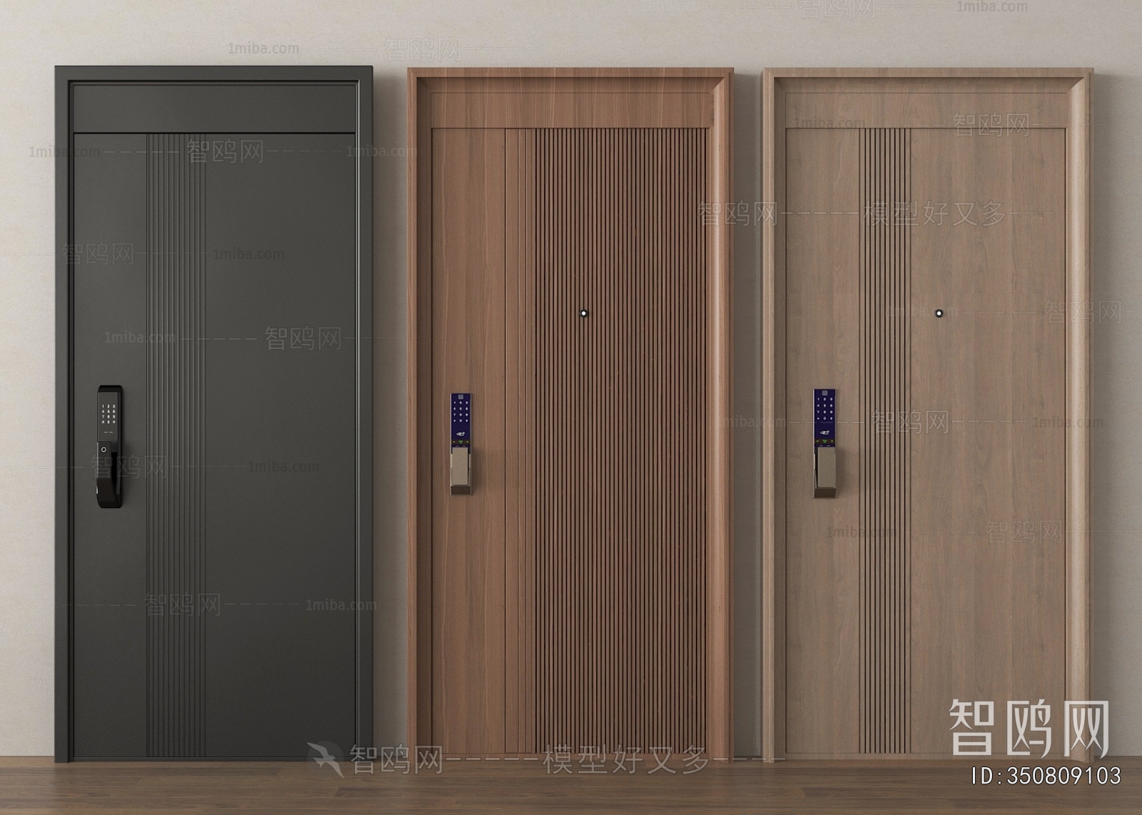 Modern Entrance Door