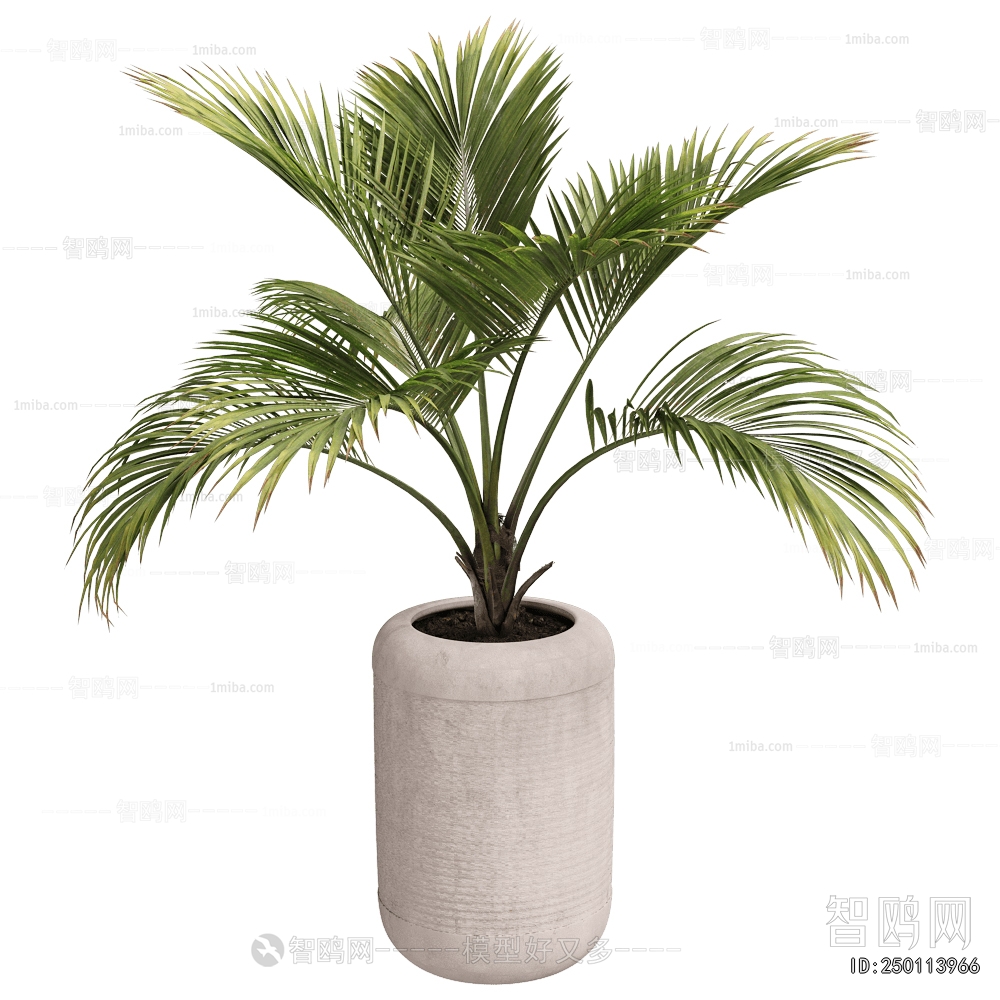 Modern Ground Green Plant Potted Plants