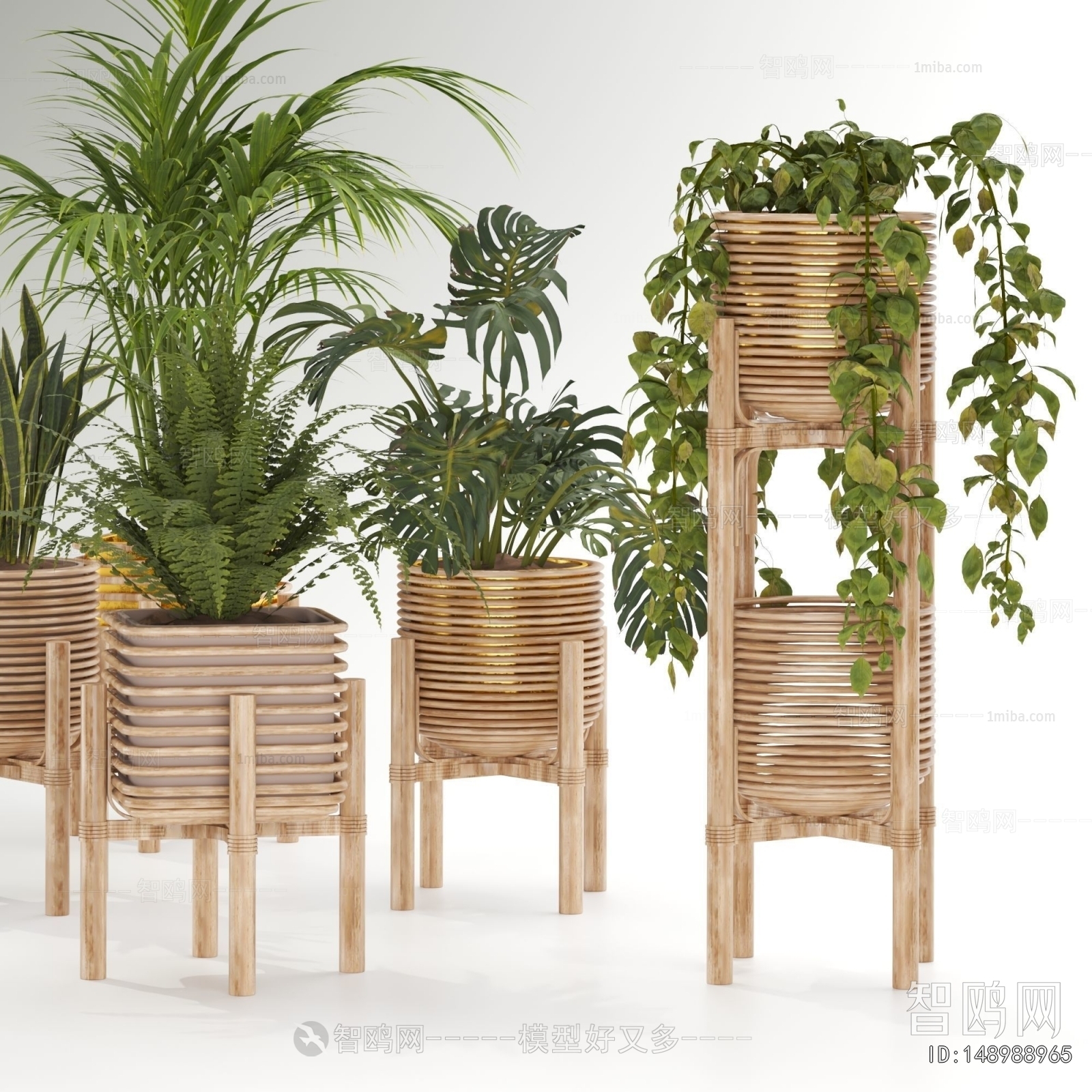 Modern Ground Green Plant Potted Plants