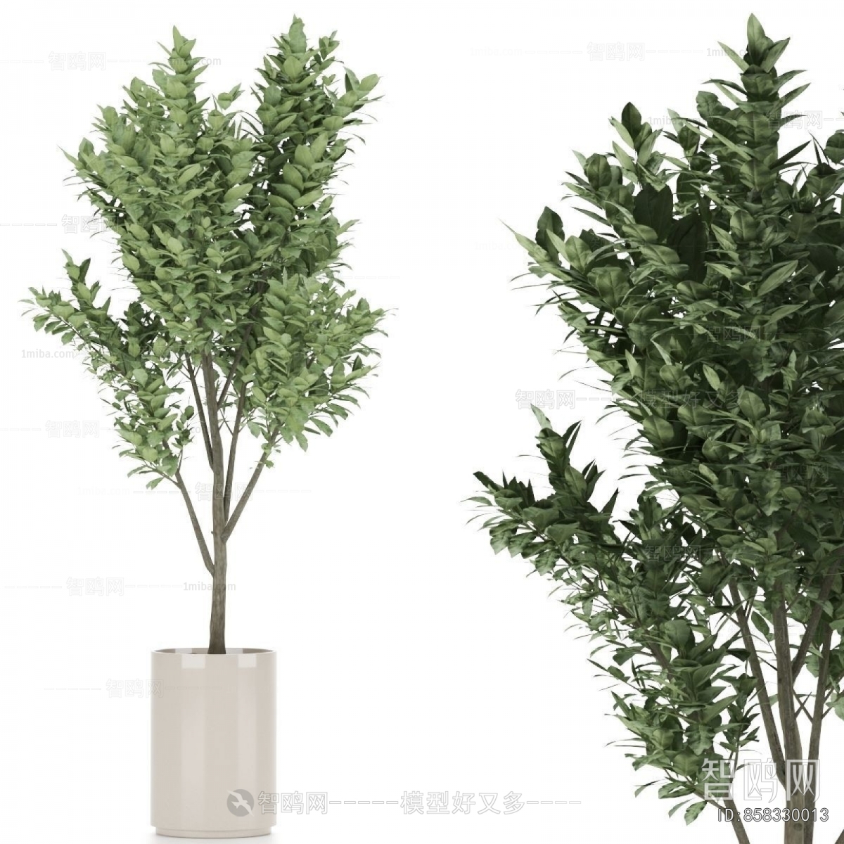 Modern Ground Green Plant Potted Plants