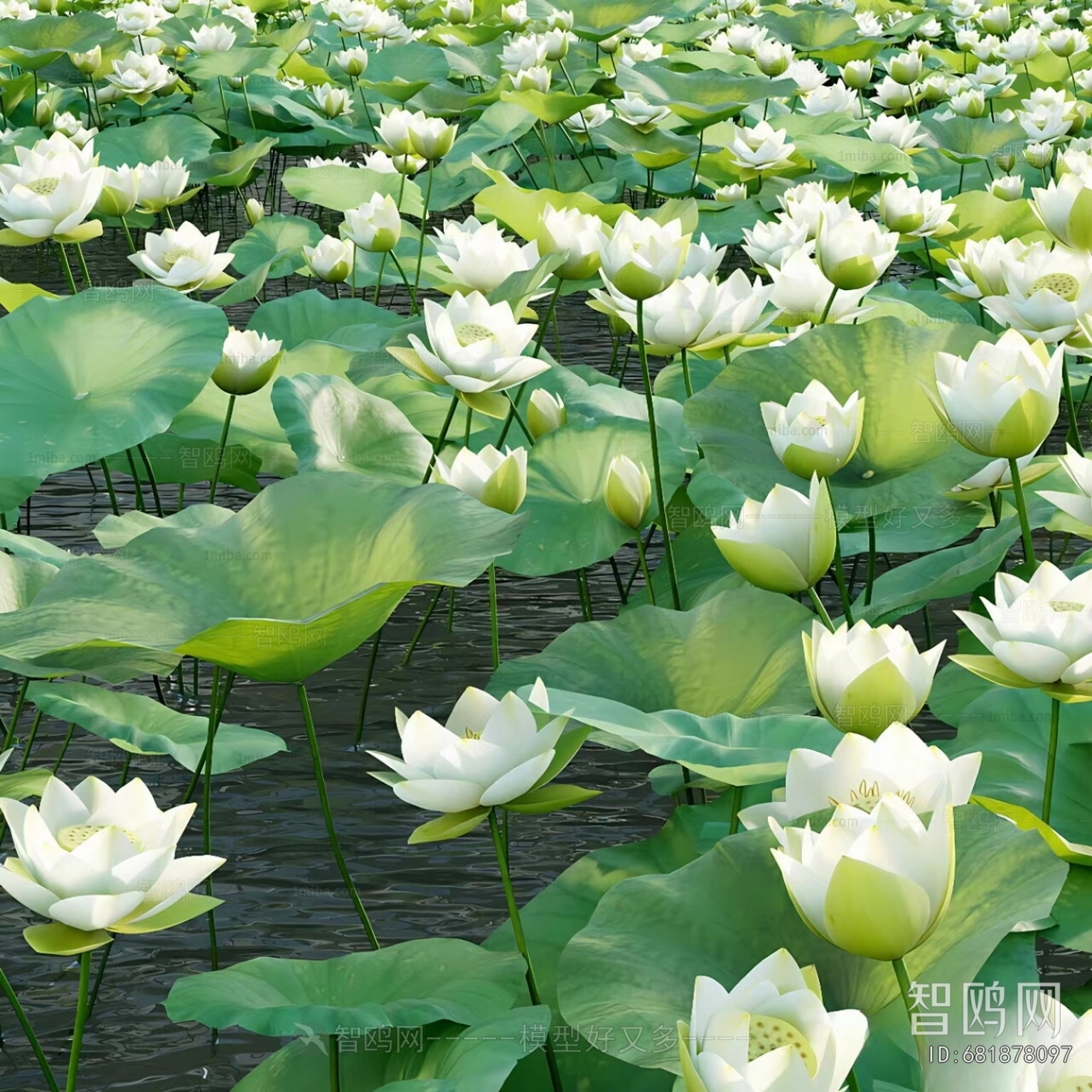 Modern Flowers And Grass