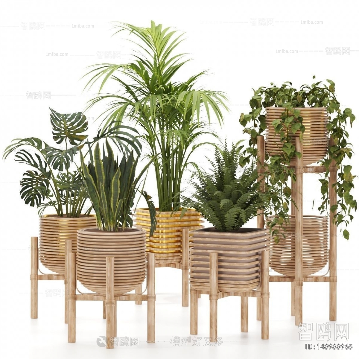 Modern Ground Green Plant Potted Plants