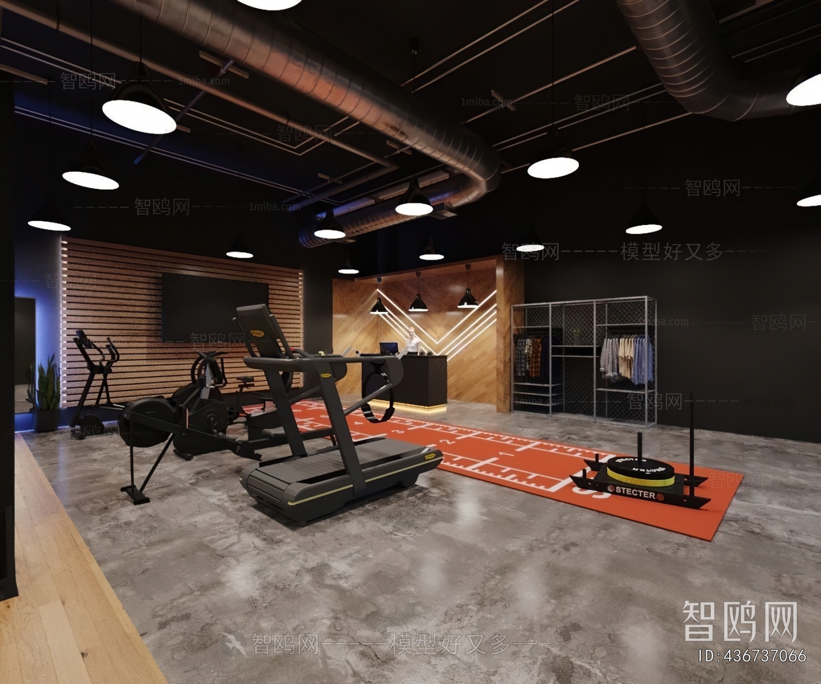Modern Gym