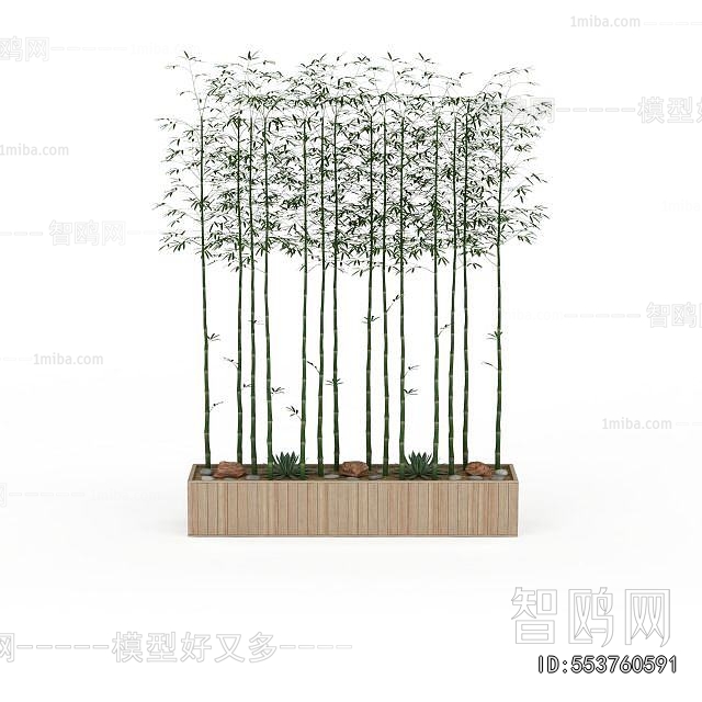 Modern Bamboo