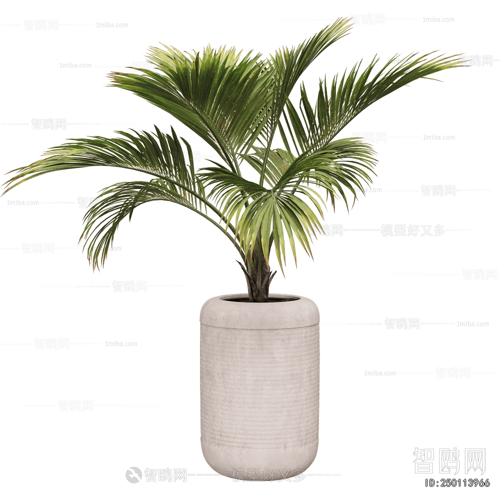 Modern Ground Green Plant Potted Plants