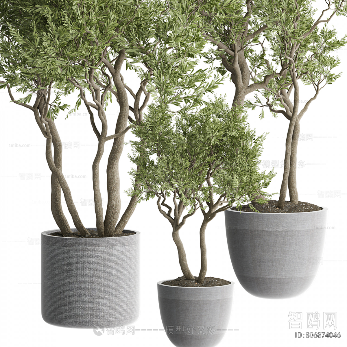 Modern Ground Green Plant Potted Plants