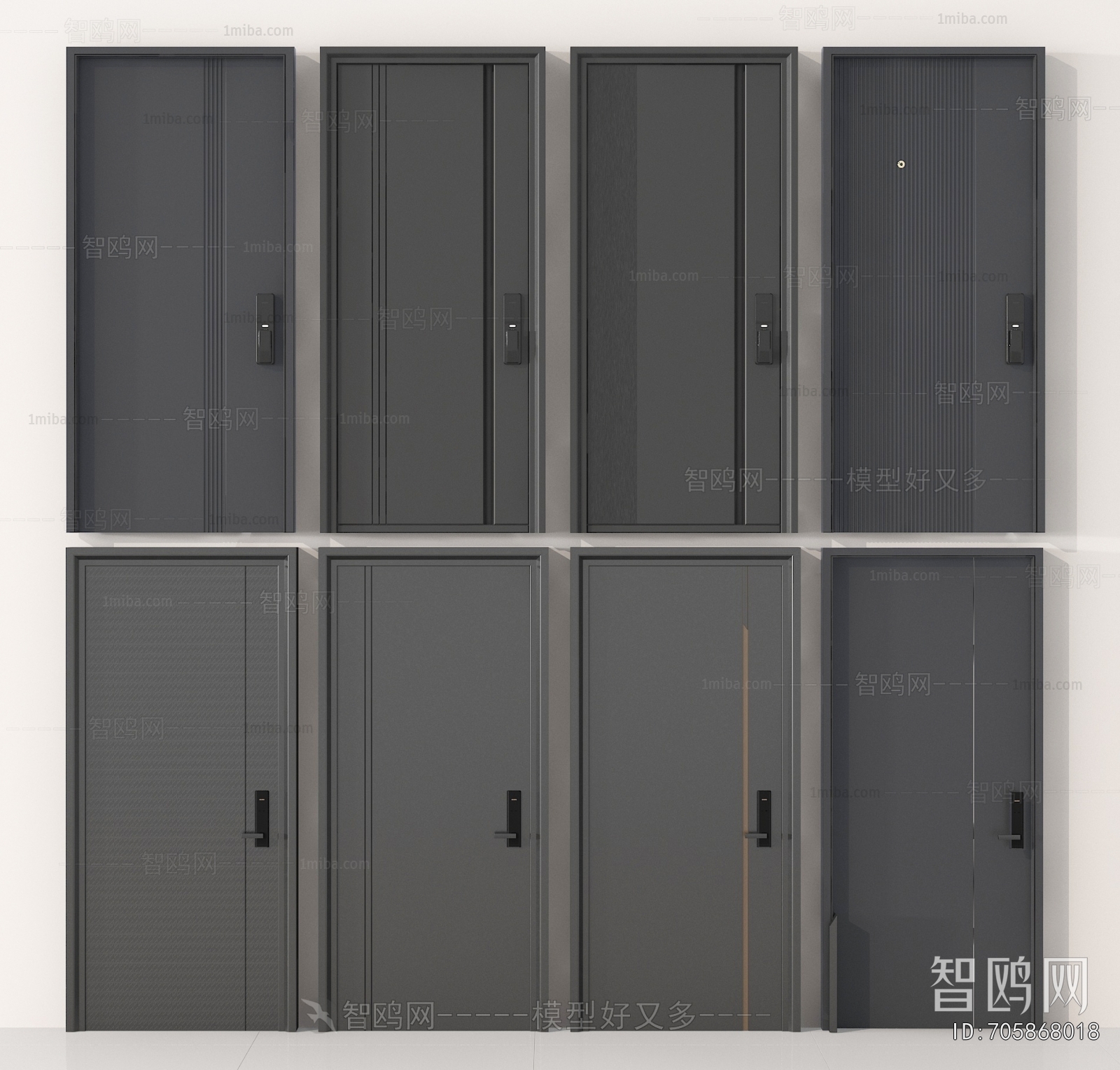 Modern Entrance Door