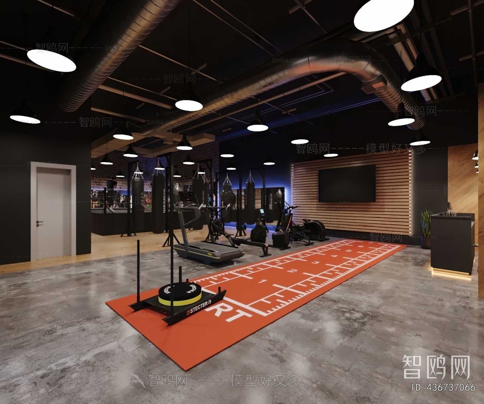 Modern Gym