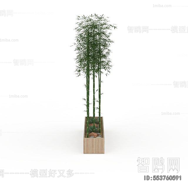 Modern Bamboo
