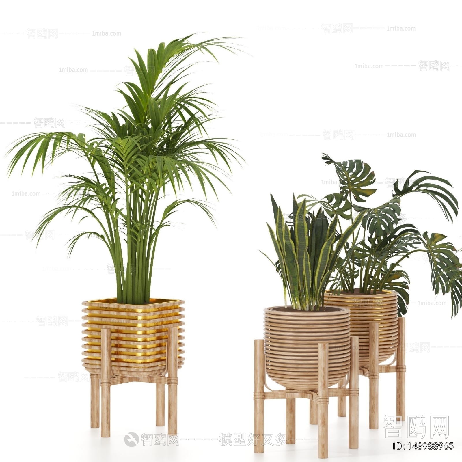 Modern Ground Green Plant Potted Plants