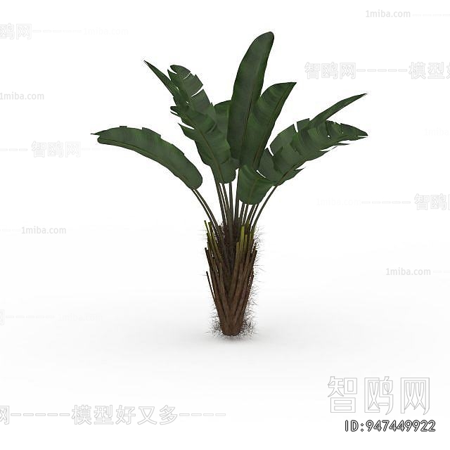 Modern Plant