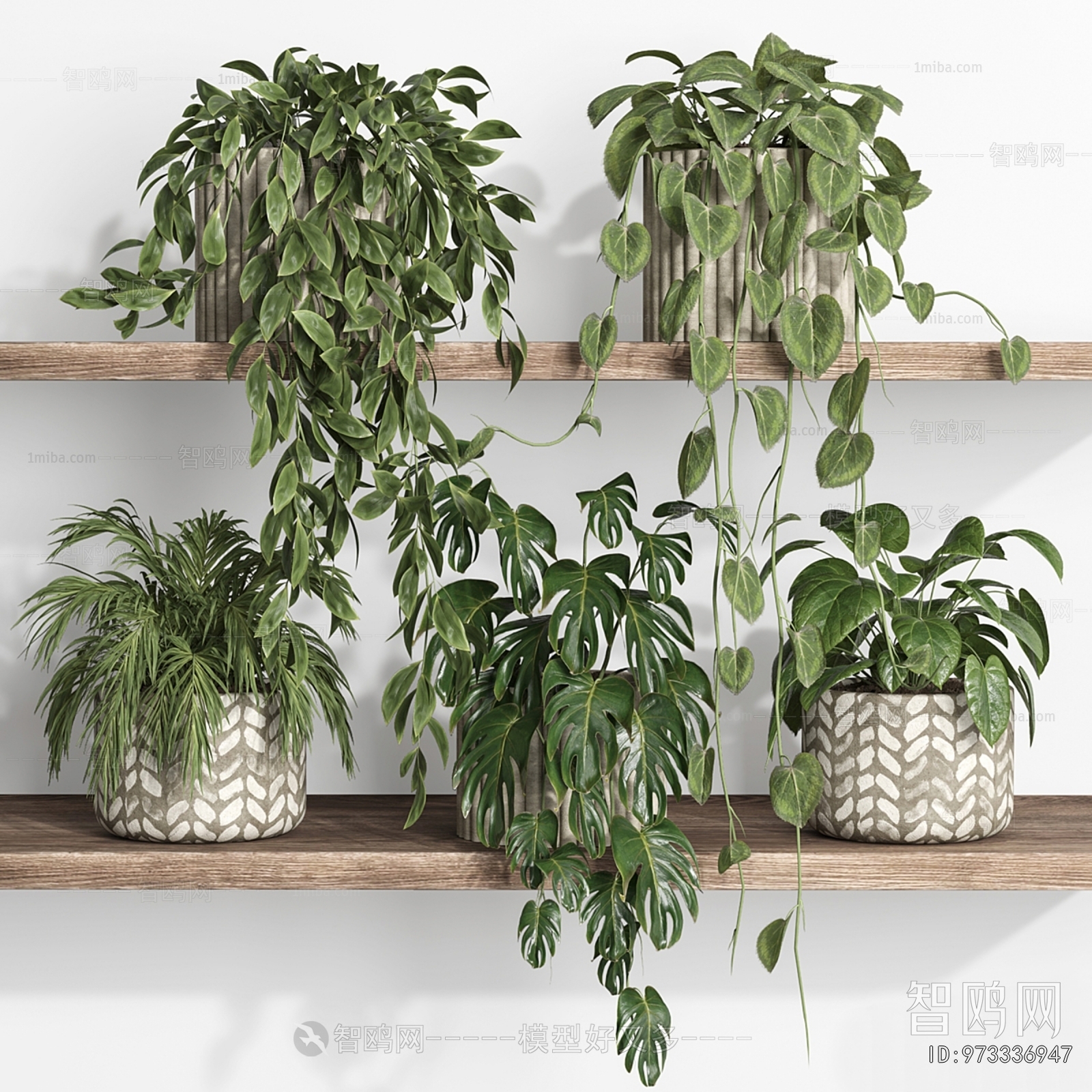 Modern Potted Green Plant