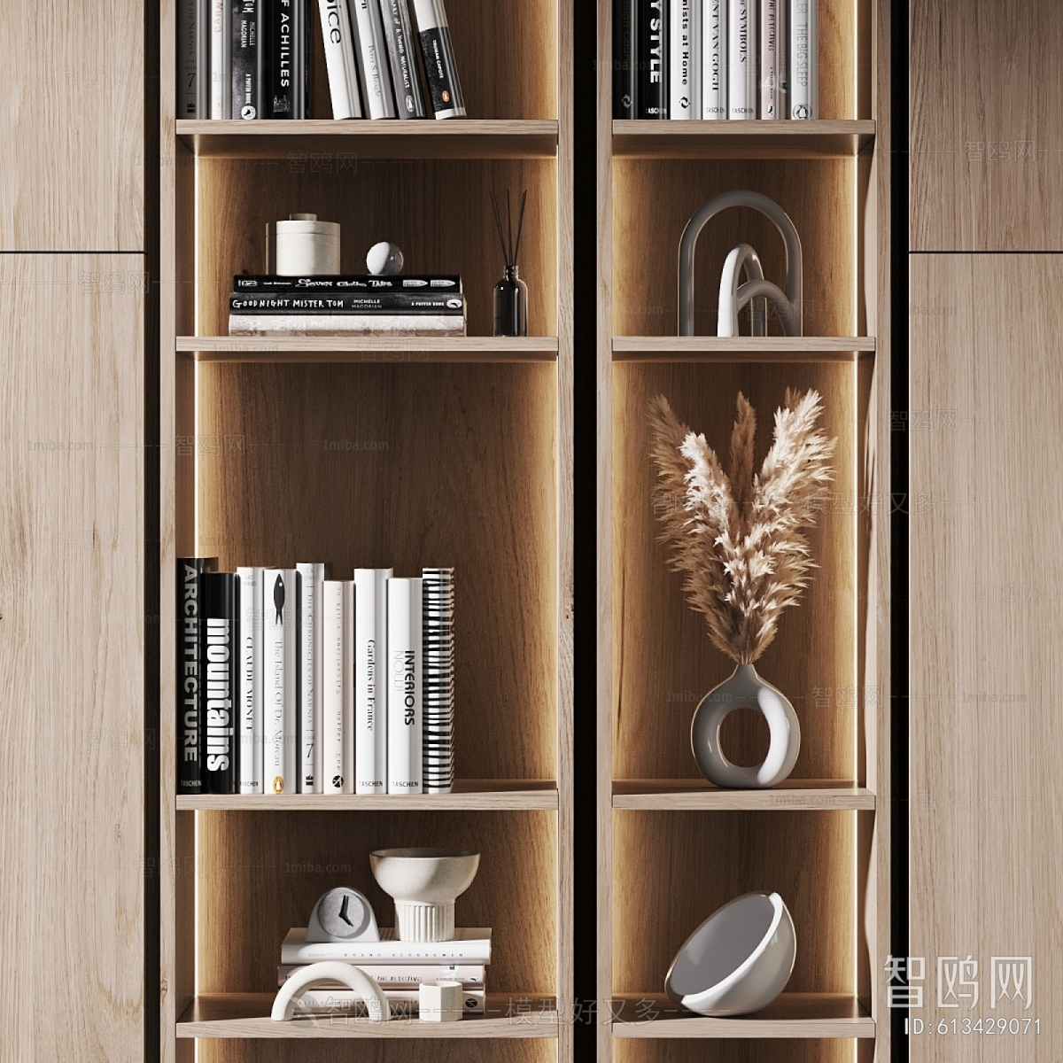 Modern Bookcase