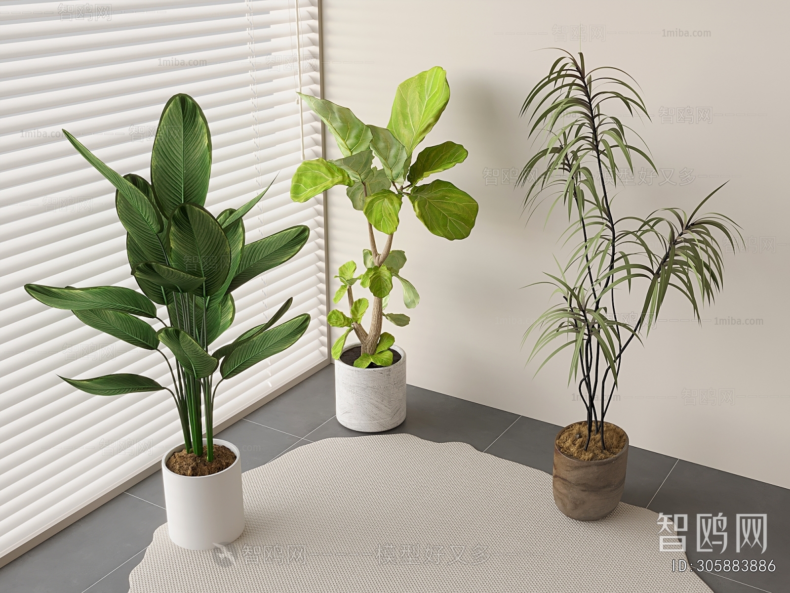 Modern Ground Green Plant Potted Plants