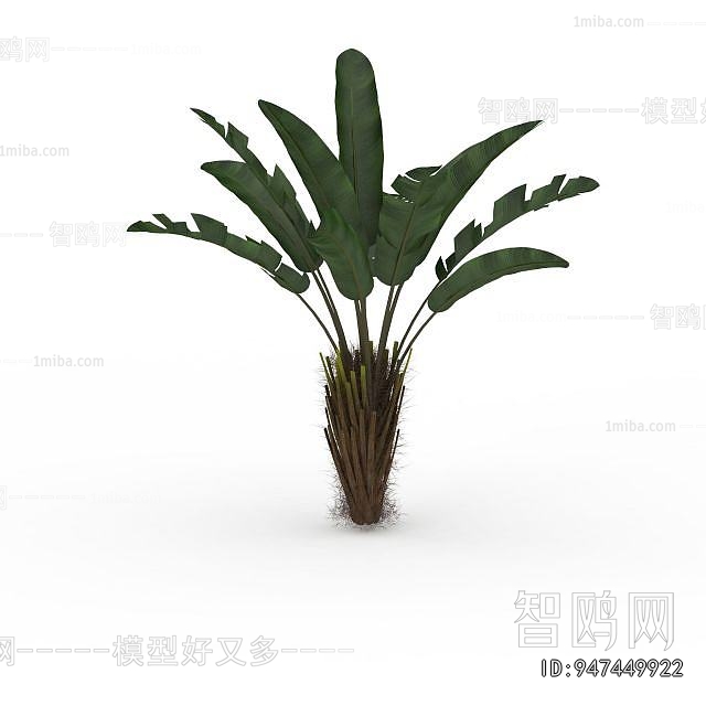 Modern Plant