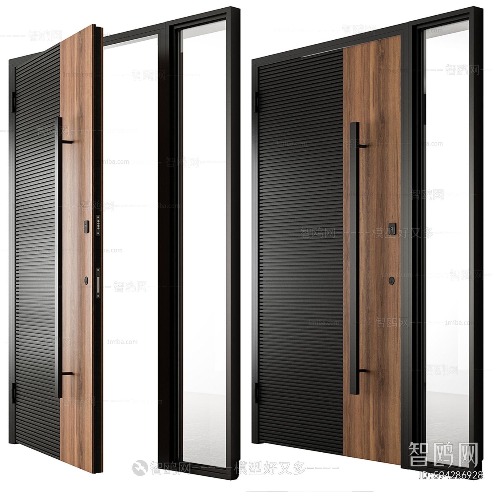 Modern Entrance Door